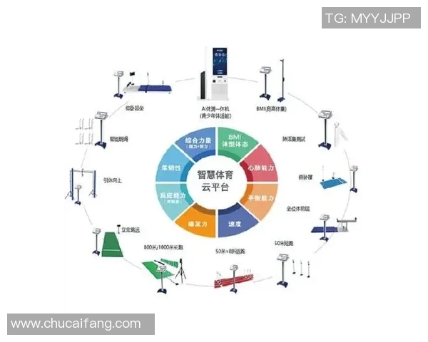 中国体育馆创新发展与城市体育文化融合探索分析 中国体育馆创新发展与城市体育文化融合探索分析