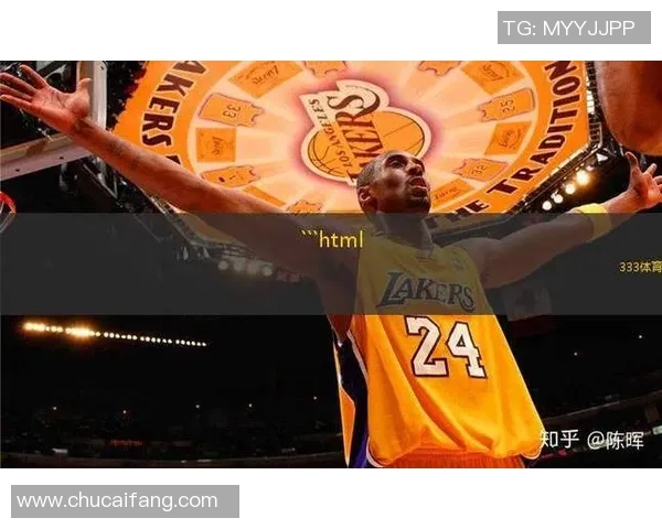 飞速NBA直播观看方式，极速畅享高清赛事