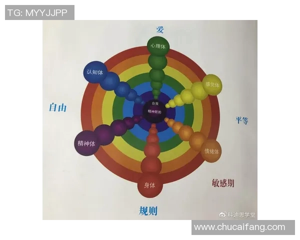 00后对足球明星的认知缺失是否反映了时代变迁与文化差异的影响